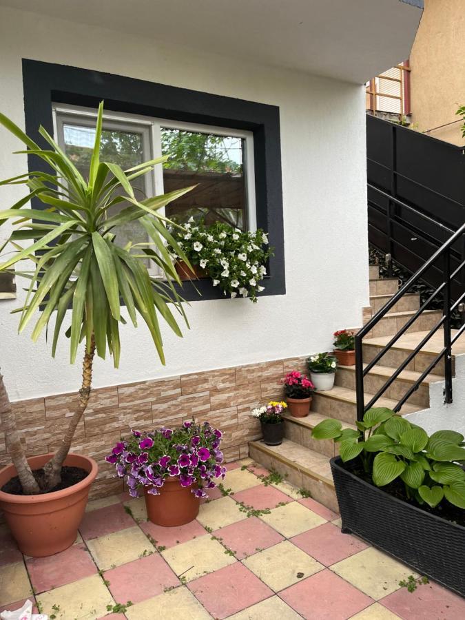 Vila Crinis Eforie Nord Exterior foto